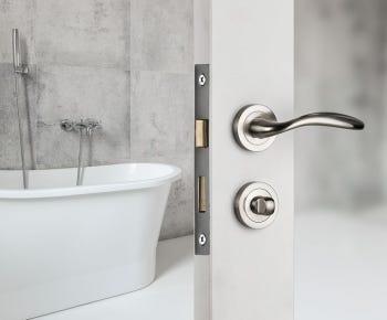 Brushed bathroom door handles category
